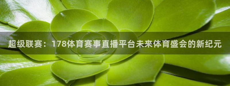 jr看球直播：超级联赛：178体育赛事直播平台未来体育盛会的新纪元