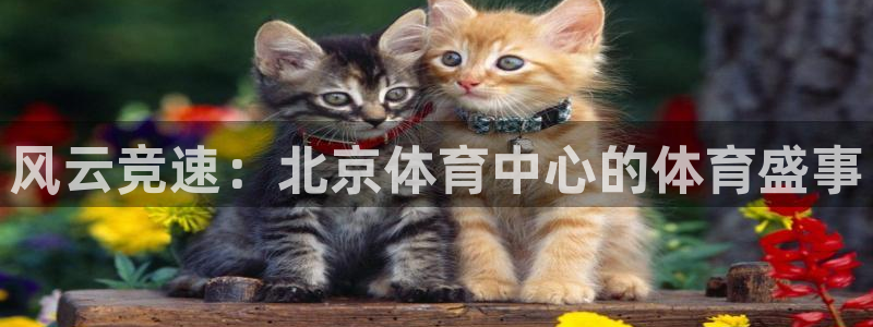 jrkan视频直播nba：风云竞速：北京体育中心的体育盛事
