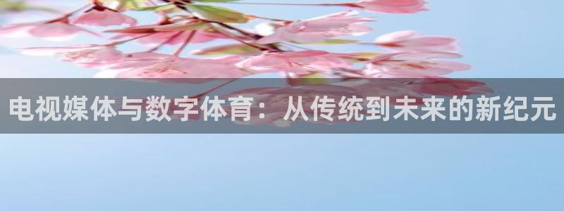 jrkan篮球直播：电视媒体与数字体育：从传统到未来的新纪元