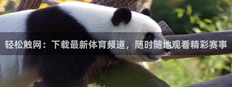 jrkan直播：轻松触网：下载最新体育频道，随时随地观看精彩赛事