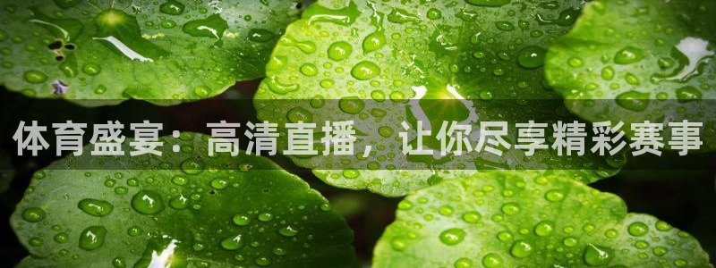 jrkan篮球直播：体育盛宴：高清直播，让你尽享精彩赛事